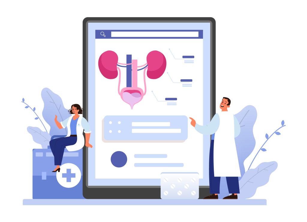 Child Urologist in Mumbai - Vector graphic showing urinary system