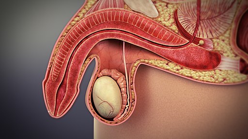 Erectile dysfunction treatment in Mumbai