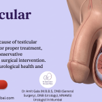 Testicular pain or swelling treatment in Mumbai